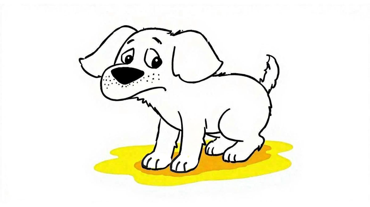 Mijn hond plast te vaak